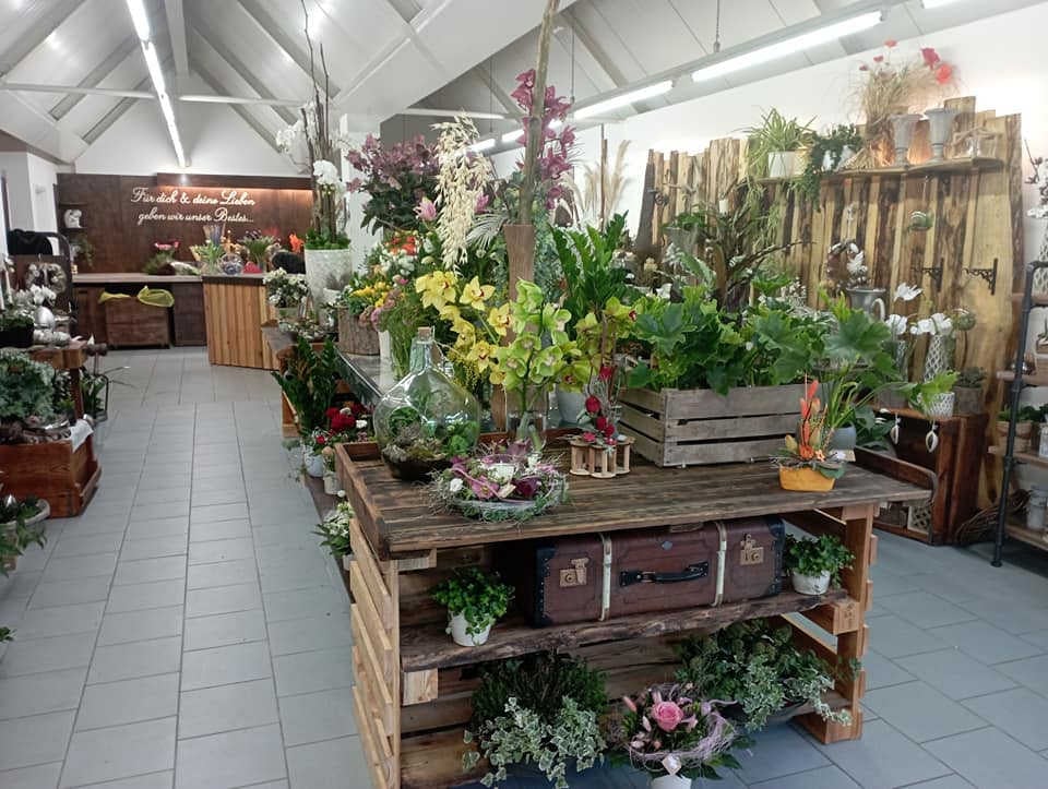 Domus Florum - Ladengeschäft in Rudolstadt